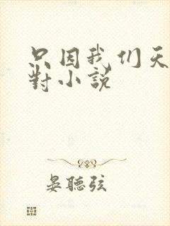 只因我们天生一对小说