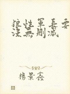 狼性军长要够了没无删减