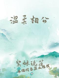 温柔相公