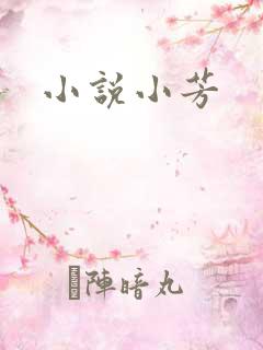 小说小芳