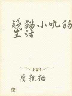 贱猫小叽的幸福生活