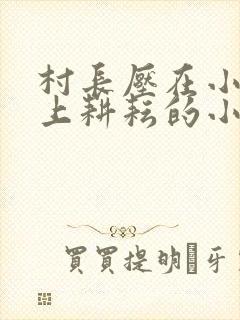 村长压在小娥身上耕耘的小说