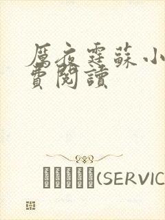 厉夜霆苏小汐免费阅读