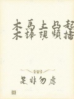 木马上凸起电动木棒视频播放