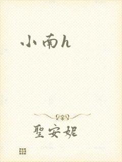 小南h