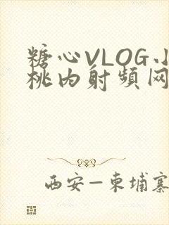 糖心VLOG小桃内射频网站在线