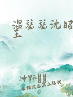 温瑟瑟沈昭摄政王