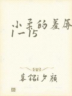 小柔的羞辱日记1一15