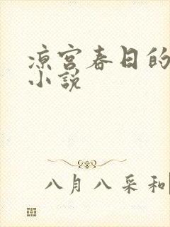 凉宫春日的忧郁小说