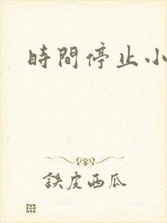 时间停止小说