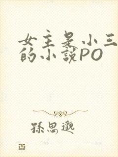 女主是小三很婊的小说PO