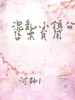 混乱小镇公交车售票员用