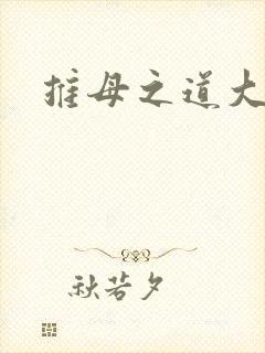 推母之道大结局