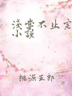 浅尝不止完整版小说