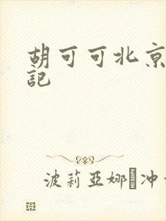 胡可可北京成功记