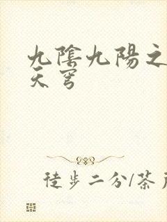 九阴九阳之武战天穹