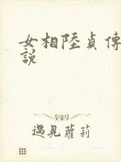 女相陆贞传奇小说
