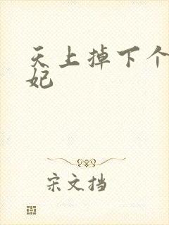 天上掉下个奇王妃