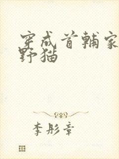 穿成首辅家的小野猫