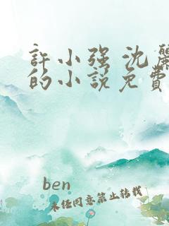 许小强 沈丽娟的小说免费阅读