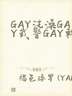 GAY洗澡GAY武警GAY软件