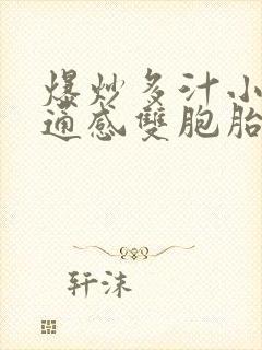 爆炒多汁小美人通感双胞胎燎锋