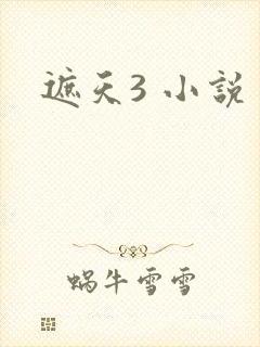 遮天3 小说