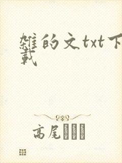 杂的文txt下载