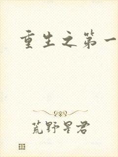 重生之第一名媛