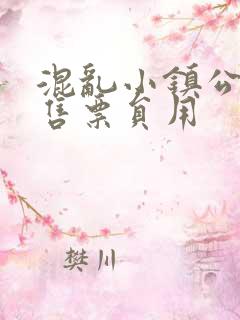 混乱小镇公交车售票员用