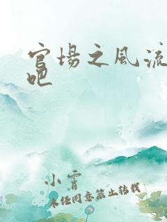 官场之风流人生吧