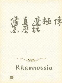 修真魔极传04怎么玩