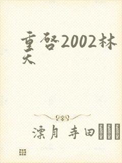 重启2002林天