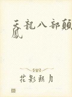 天龙八部颠龙鸾凤