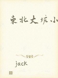东北大坑小说