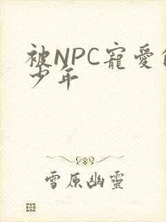 被NPC宠爱的少年