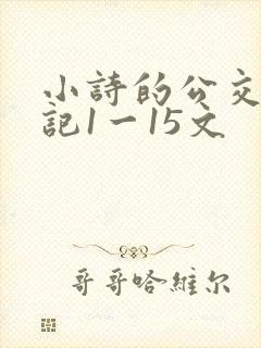 小诗的公交车日记1一15文