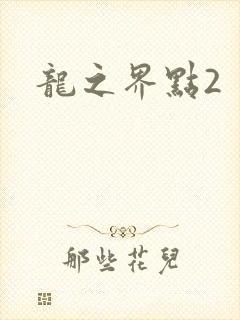 龙之界点2