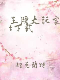 王牌大玩家txt下载