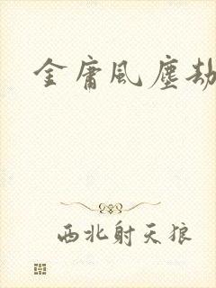 金庸风尘劫