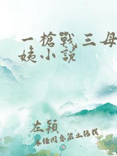 一枪战三母2雪姨小说