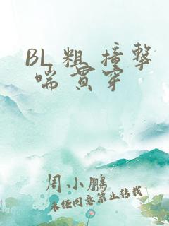 BL 粗 撞击 喘 贯穿