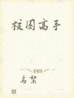 校园高手