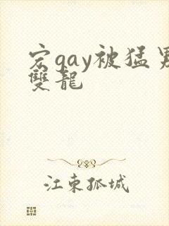 宏gay被猛男双龙