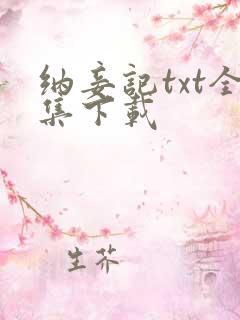 纳妾记txt全集下载