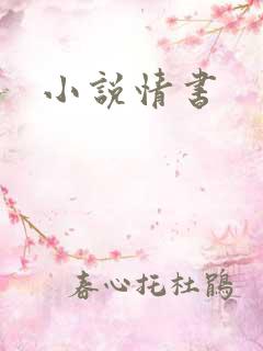 小说情书