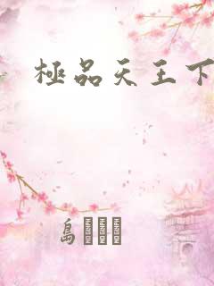 极品天王下载