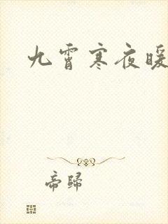 九霄寒夜暖小说