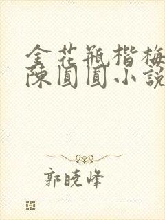 金花瓶楷梅花2陈圆圆小说