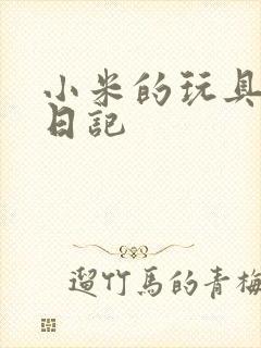 小米的玩具羞辱日记